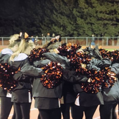 A strong family of cheerleaders with a bond that cannot be broken!