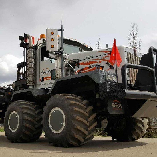 RayPaul63's profile picture. 