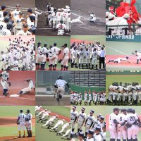 たえ (@yakyuu__baka) 's Twitter Profile Photo