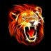 @LIONMANOUT
