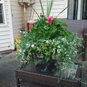 Kathy Moen - @kamoen5 - Twitter