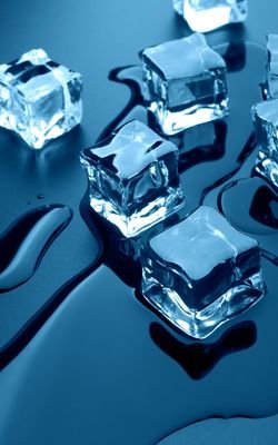 riwuzhang's profile picture. 