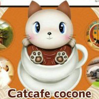 Cat cafe 心猫(ここね)(@cocone0510) 's Twitter Profile Photo