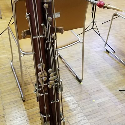 dioptase1122's profile picture. 食う寝る遊ぶ、楽器吹く。毎日ぼんやり。