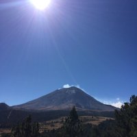 JuanVelediaz (@velediaz424) 's Twitter Profile