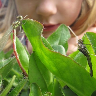 Engaging children, schools & adults with nature
Discovery & photography led by @naturebygreen https://t.co/4ivzfkx4z0 Murmuration of Wonder 2018/19