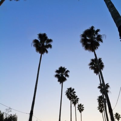 marina06206's profile picture. 