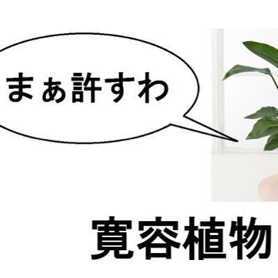 createdatabase's profile picture. 