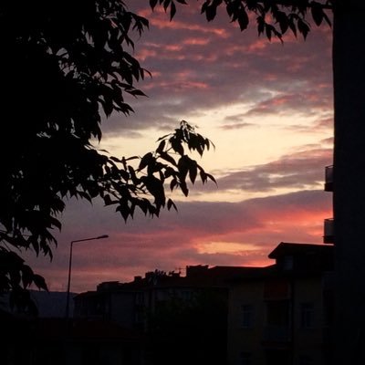 mrctncblk's profile picture. 210515