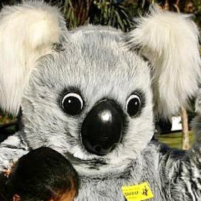 LaMaderaElem's profile picture. This is the official Twitter page for La Madera Elementary School in Lake Forest, CA. #GOKOALAS