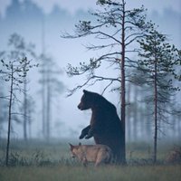 Alex Villemin (@alexvillemin) 's Twitter Profile
