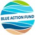 BlueActionFund (@BlueActionFund) Twitter profile photo