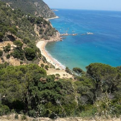 JoanGRidorsa's profile picture. 
