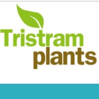 Tristram Plants (@tristramplants) 's Twitter Profile Photo Tristram Plants (@tristramplants) 's Twitter Profile Photo