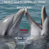 KILL  NO  DOLPHINS! (@killnodolphins) 's Twitter Profile Photo
