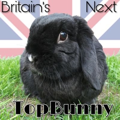 🐈‍⬛Nibbles 🐇Humphrey and Barney🌈💔Hunny and Benny🌈💔 Hoppy and Fluffy🌈💔Spud and Snowy🌈💔