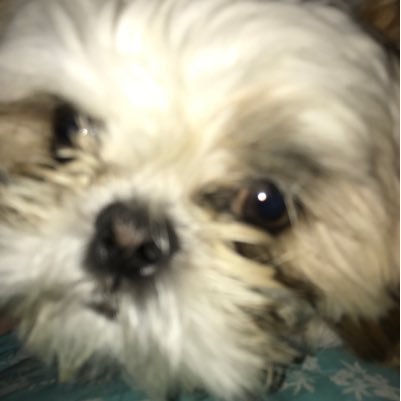 Claireforster08's profile picture. crazy mum of 2.. 2 blessed 2 be stressed!!