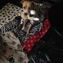 Amanda redding - @Amandaredding6 - Twitter