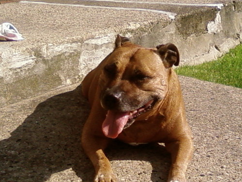 ClaireLeeCasey's profile picture. 