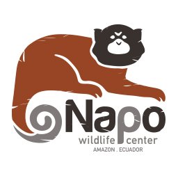 Yasuní is home to Napo Wildlife Center, offers an intimate life experience with a level of exclusivity unmatched in other jungle lodges.