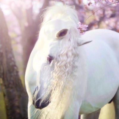 tooootooo1231's profile picture. أنت عابر على الدنيا (فَكن ذو أثر جميل)💗.