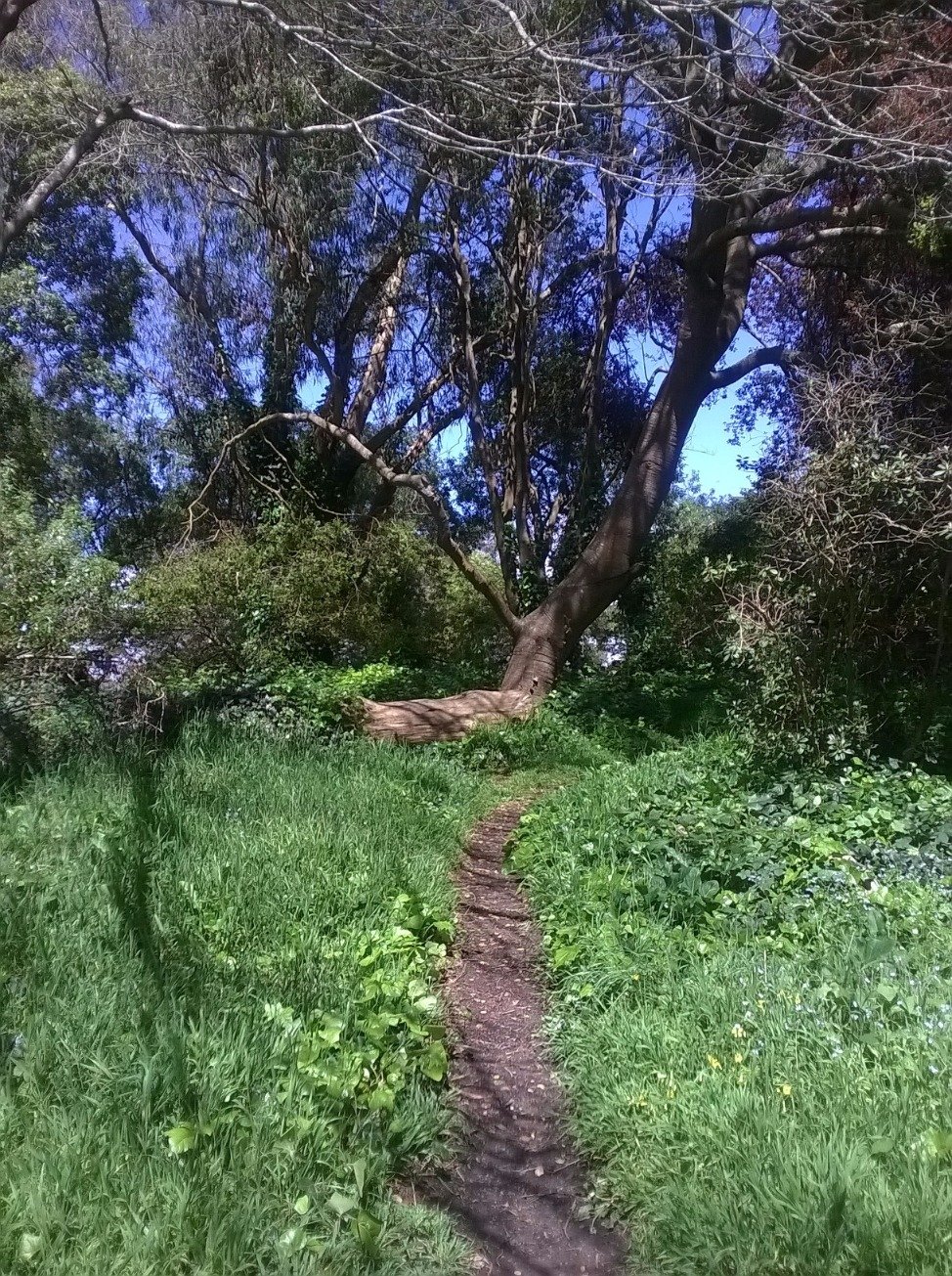 annadelvecchio's profile picture. 