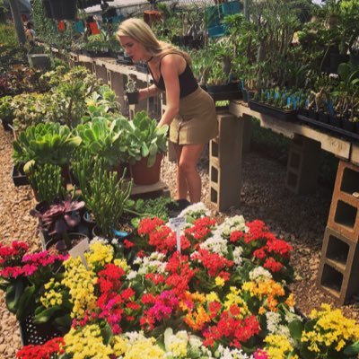 squid_spice's profile picture. 