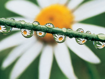 AAnthony0's profile picture. 