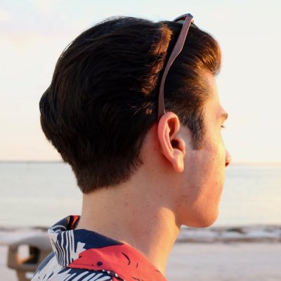 DStoicea's profile picture. 