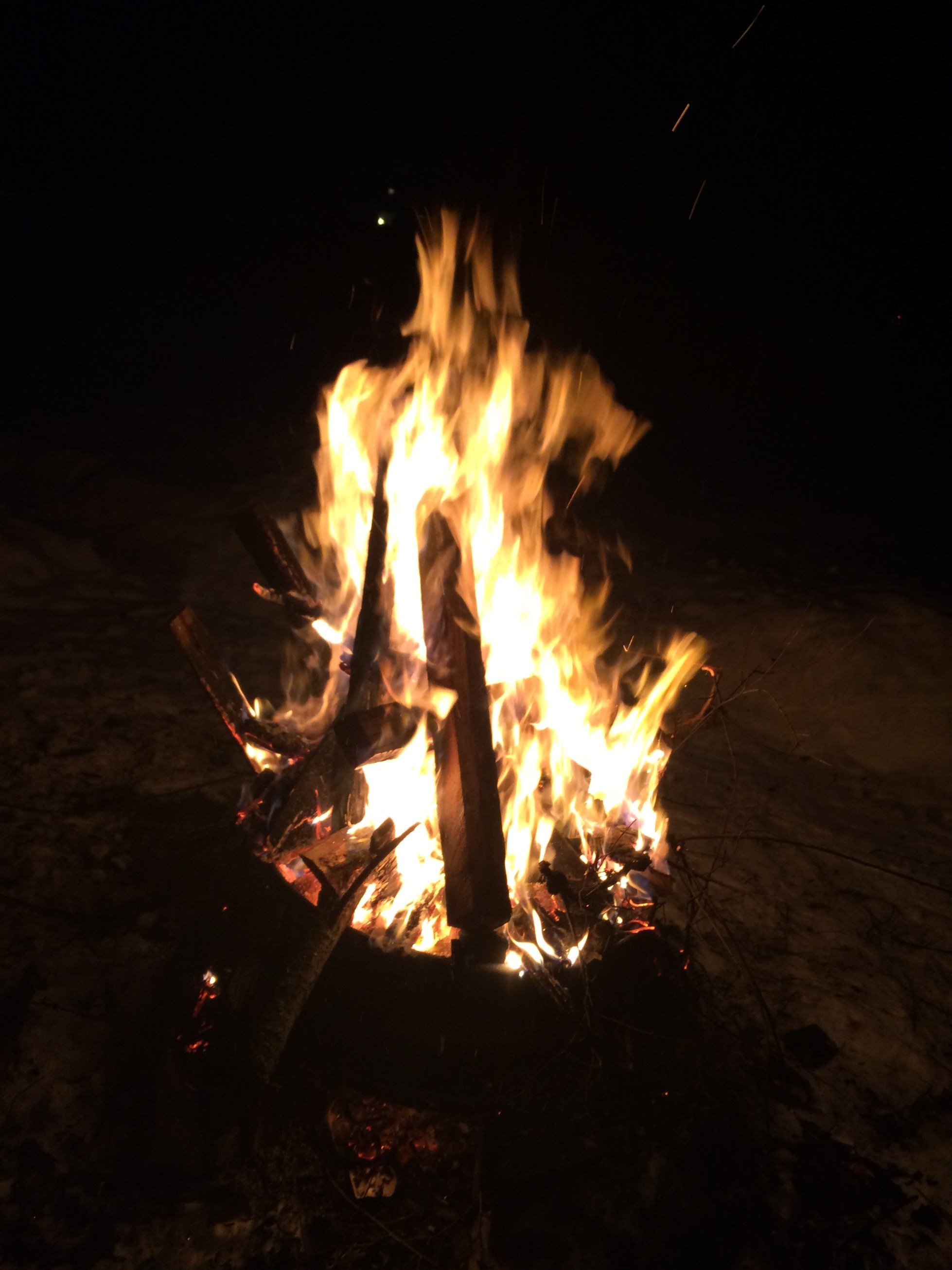 pattilippert's profile picture. 