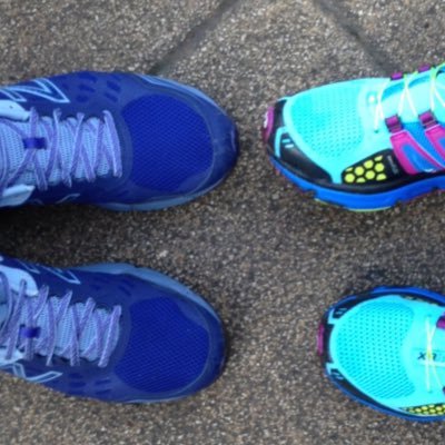 db1311's profile picture. 