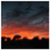 Erwin Rudd (@realya) 's Twitter Profile