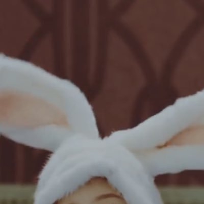 @'_🐰_