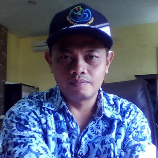 Dwi Ari Priyanto