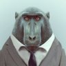 vlgsmsk's profile picture. Open clouds, analytics & stuff