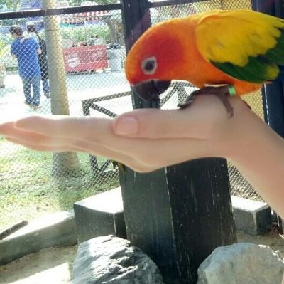 marsilia_mary's profile picture. - -