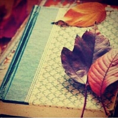 HabibeDuzgun's profile picture. Bazen şu mezarlığın kokusu üzerime sinse diyorum,ölümü koklasamda aldanmasam dünyaya.
