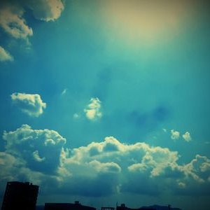 使ってません。