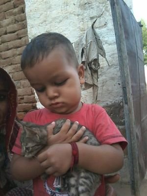 Rajkumar1620591's profile picture. 