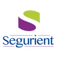 Segurient (@segurient) 's Twitter Profile