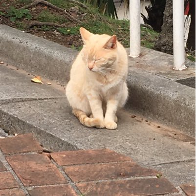 mementmorita7's profile picture. 環境半年ちょい。メンバーは本当に素敵な人ばっかりだけど、環境には違和感。ネット情報で目覚め、辞めようかと思っています→辞めました