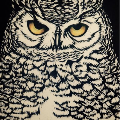 AnneMay71755911's profile picture. Flyonthewall &/or Just Kimmy from Keighley - unable to tweet!