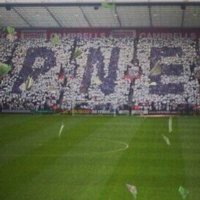 PNEFC Forum (@pnefc96) 's Twitter Profile