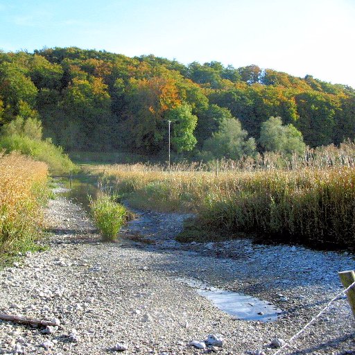 The UK Droughts & Water Scarcity research programme is supporting improved decision-making in relation to droughts and water scarcity