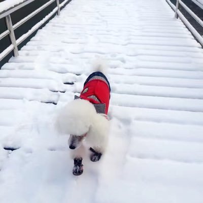 Louislao46's profile picture. 行走与独立，不可或缺