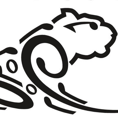 Paschal Orchestra Profile