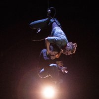 creature (@dancecreature) 's Twitter Profile