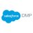 Salesforce DMP