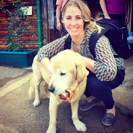 jsarstedt's profile picture. I love dogs. Communicator at @gsg