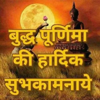 bjprohi's profile picture. 